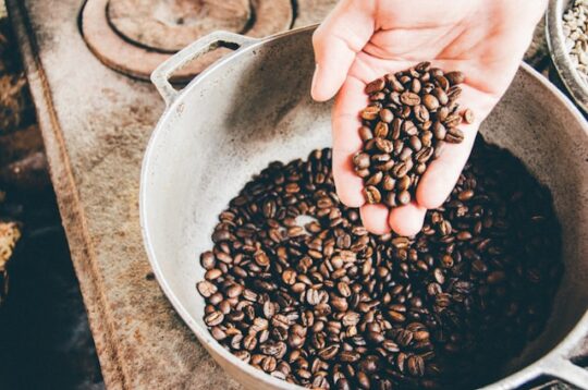 Mengapa Harus Memilih Kopi Murah Berkualitas