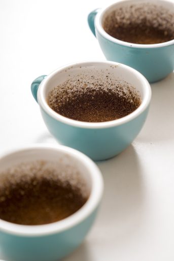 Delta Coffee Roaster