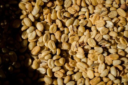 Mengapa Standar Kadar Air Kopi Harus 12,5%