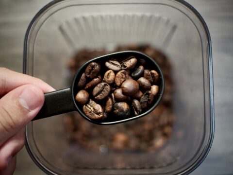 Perbedaan Arabika dan Robusta