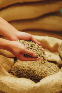 Apa itu Specialty Coffee?