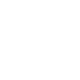 Delta Coffee Roaster