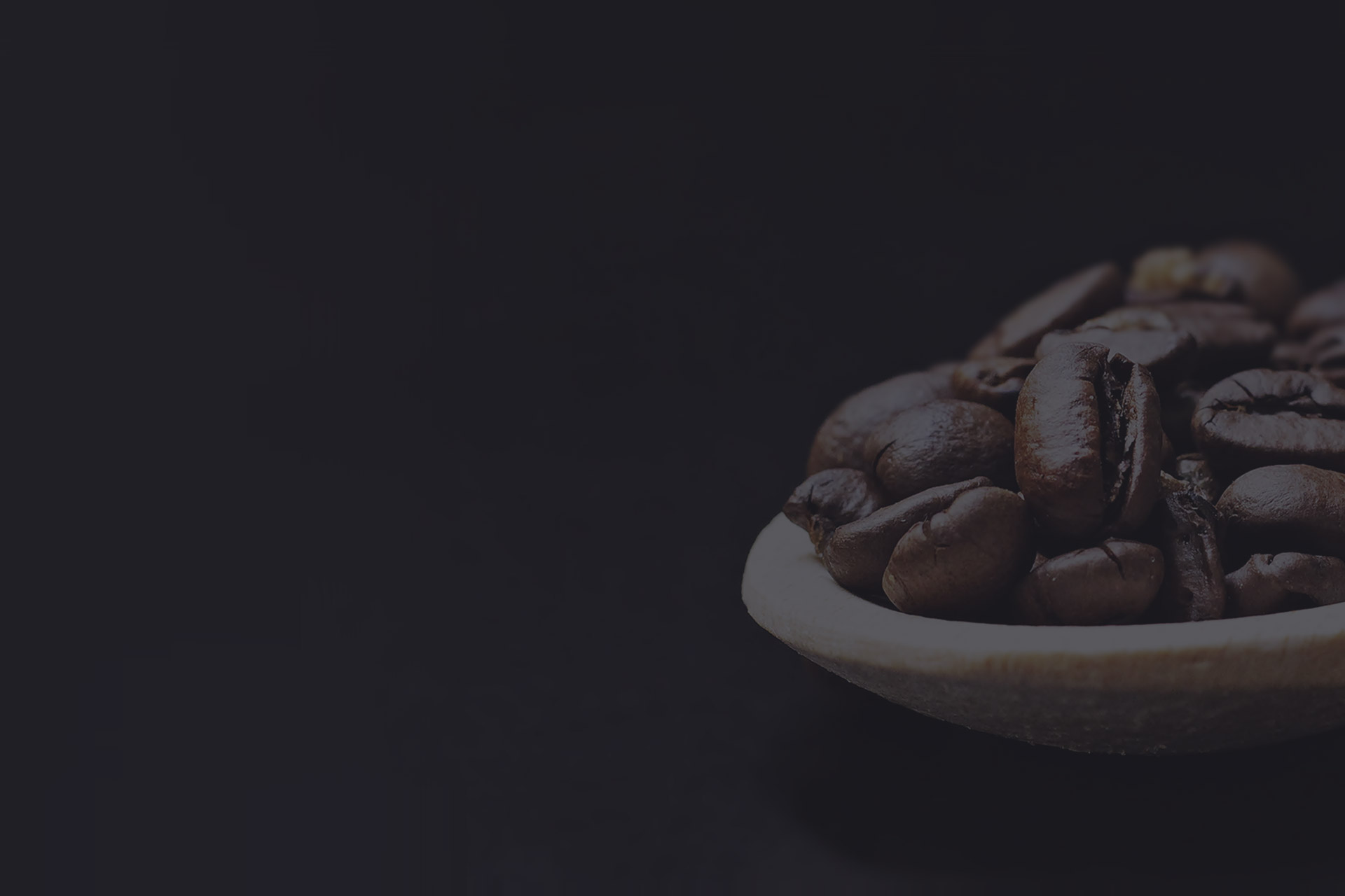 Delta Coffee Roaster